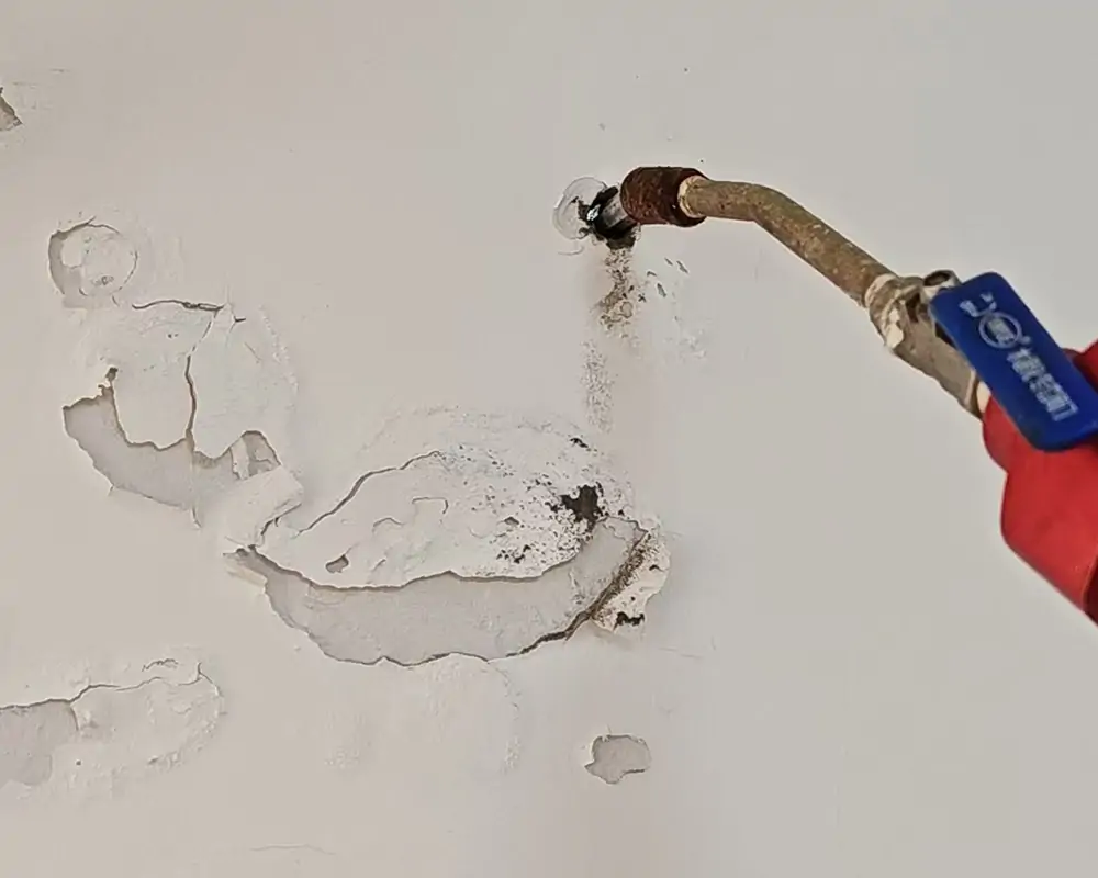 深水埗唐樓滲水修復工程