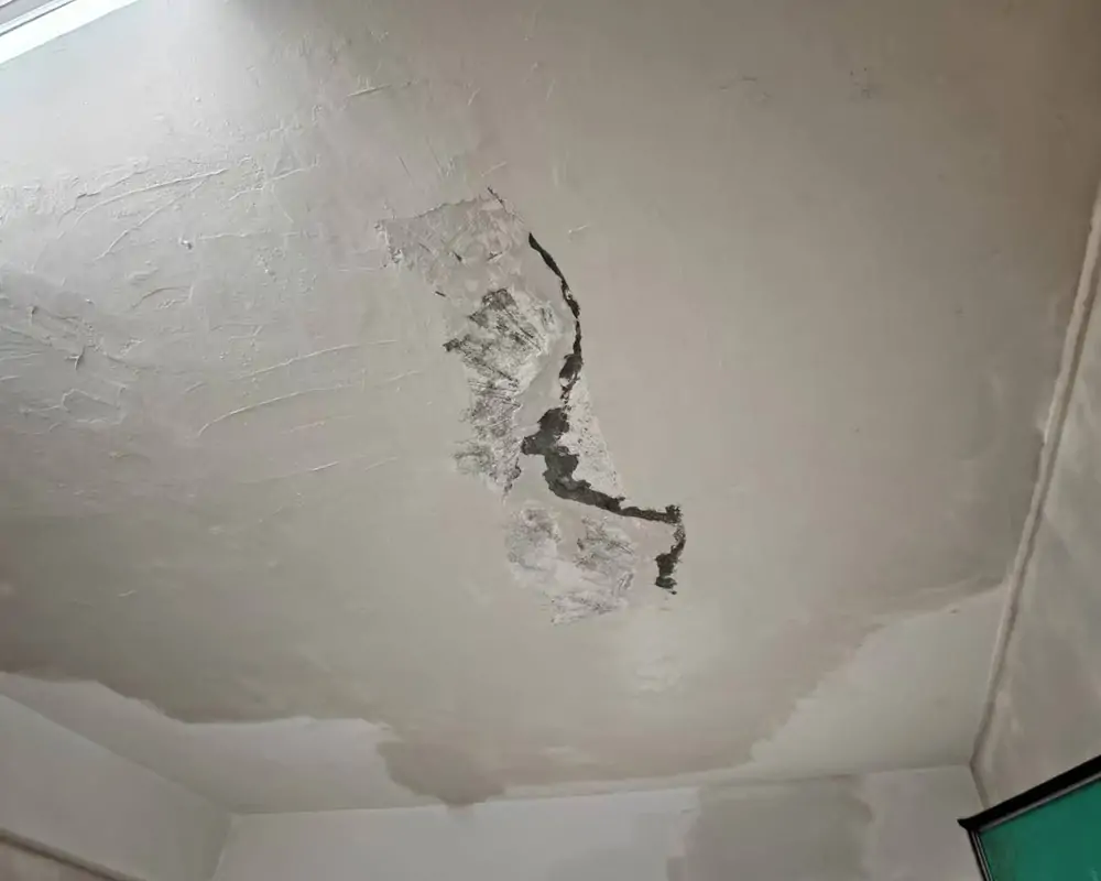 天花滲水（特別常見於頂層或樓上無人居住單位）